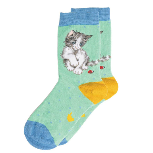 ‘Cat Ladybird’ cute children’s socks
